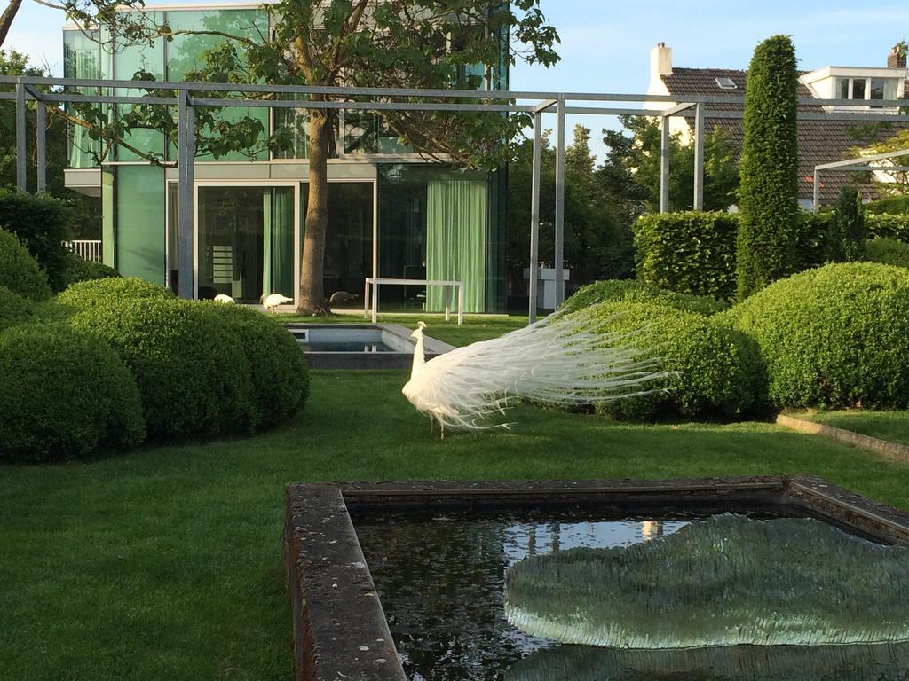 H-House Architectural Residence Maastricht Rom bilde